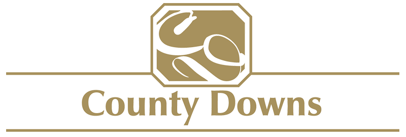 County Downs / Erinvale Homes: Click to go to Homepage!